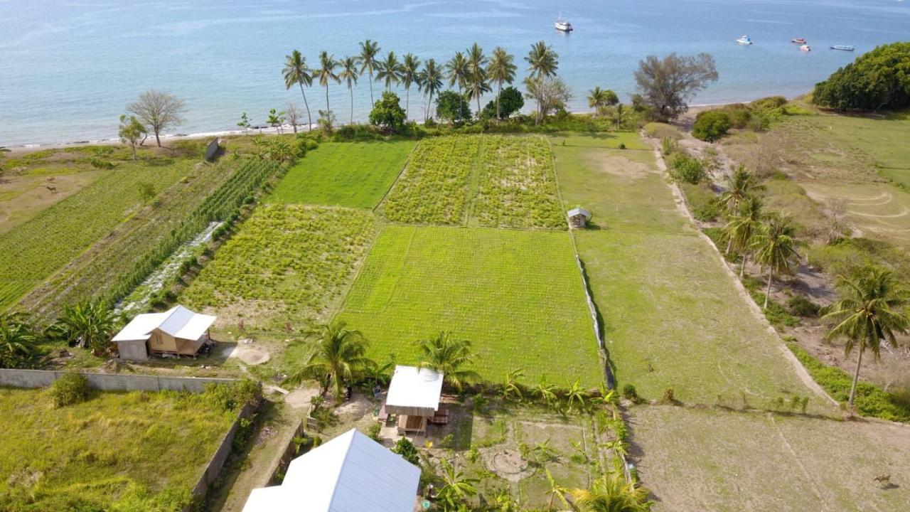 The Daun Puntik Homestay Pemenang ภายนอก รูปภาพ