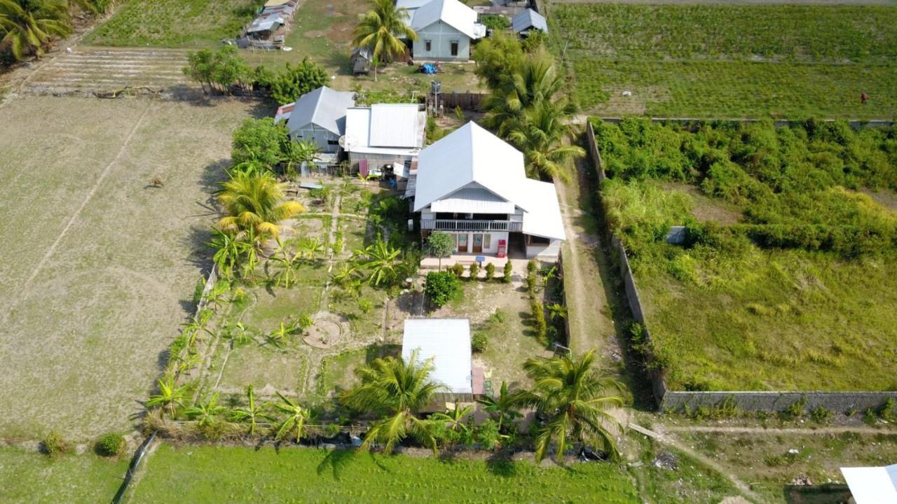 The Daun Puntik Homestay Pemenang ภายนอก รูปภาพ