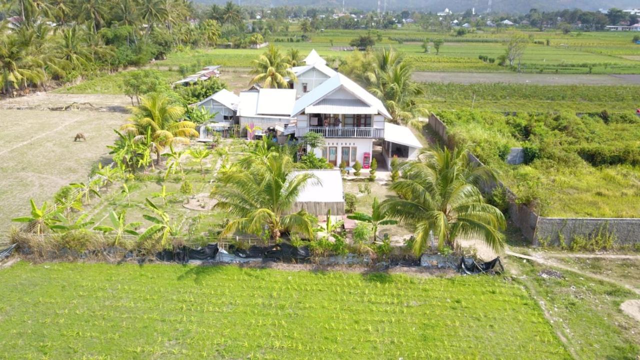 The Daun Puntik Homestay Pemenang ภายนอก รูปภาพ