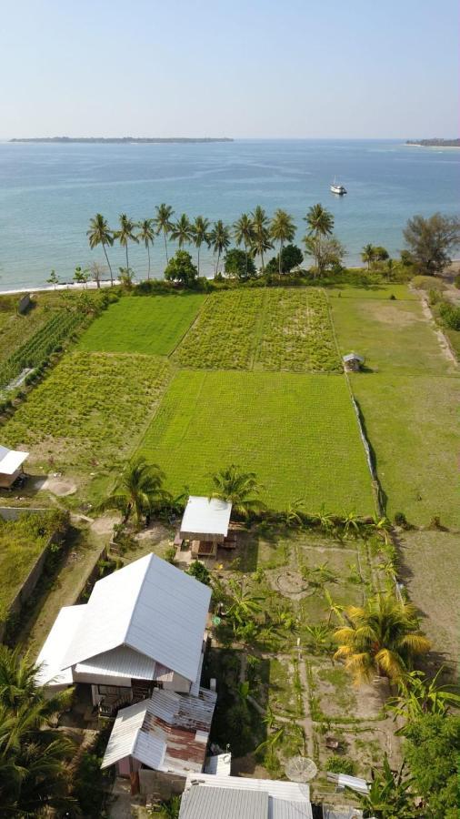 The Daun Puntik Homestay Pemenang ภายนอก รูปภาพ