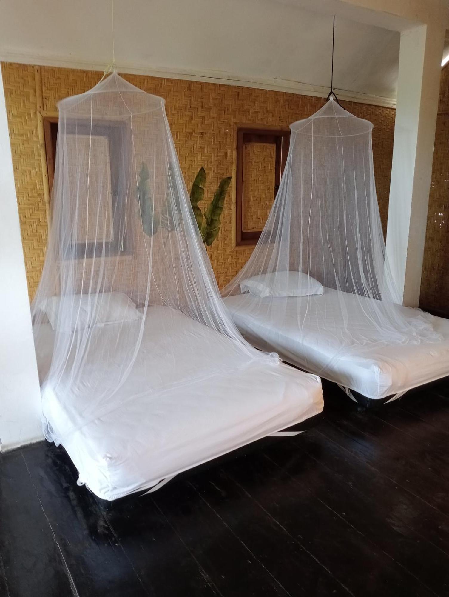 The Daun Puntik Homestay Pemenang ภายนอก รูปภาพ