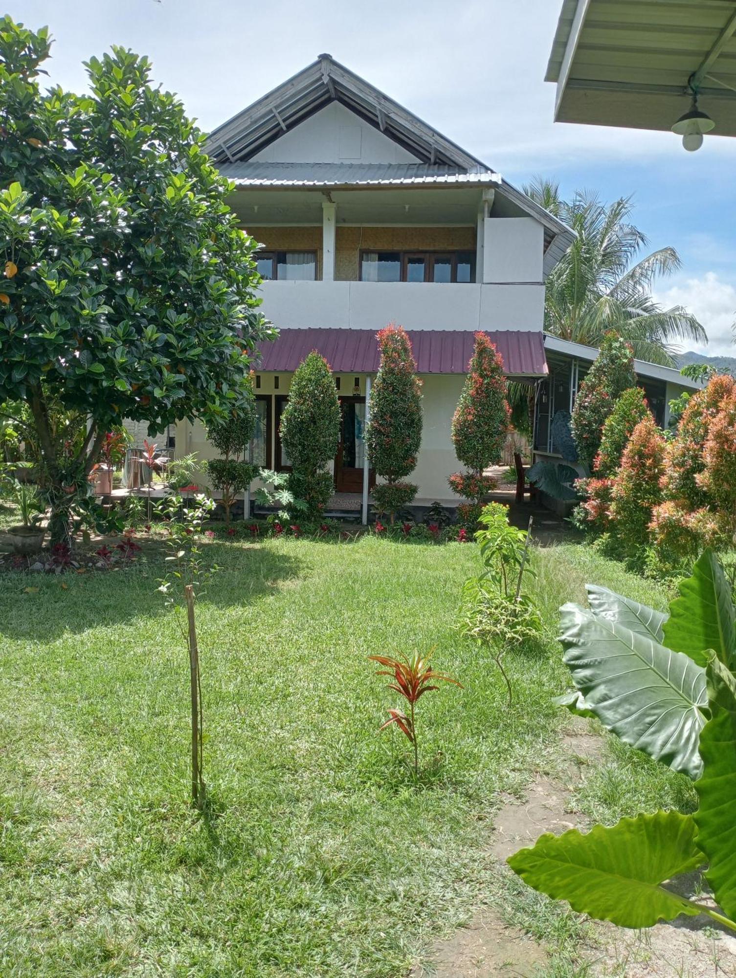 The Daun Puntik Homestay Pemenang ภายนอก รูปภาพ